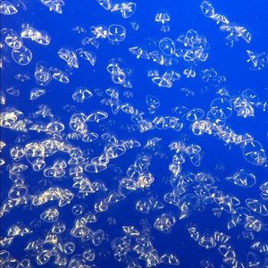 Meet your Posher, Alberto